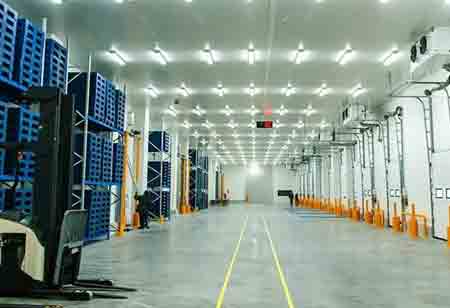 Expansion of Industrial Cold Storage: Challenges and Opportunities in Construction Expansion of Industrial Cold Storage: Challenges and Opportunities in Construction